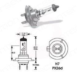 Bec far 24V 70W PX26d H7 CEI