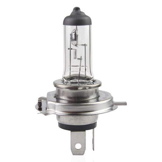 Bec H7 12V 55W