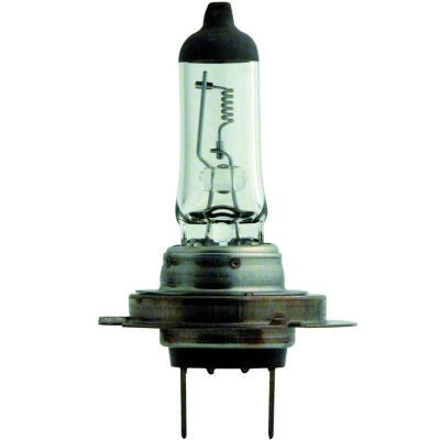 Bec H7 70W 24V PX26d Economic, Bosma