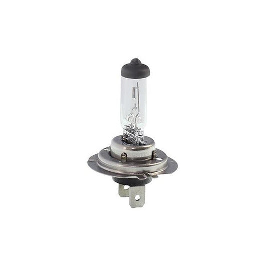Bec far 24V 70W PX26d H7 CEI