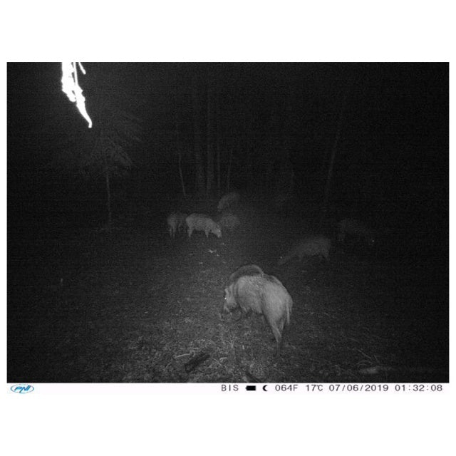 Camera vanatoare PNI Hunting 400C 12MP cu Internet 4G LTE, GPS, transmite simultan video si foto pe telefon, 4 email-uri, FTP, full HD 1080P, Night Vision, 57 LED-uri invizibile pentru animale