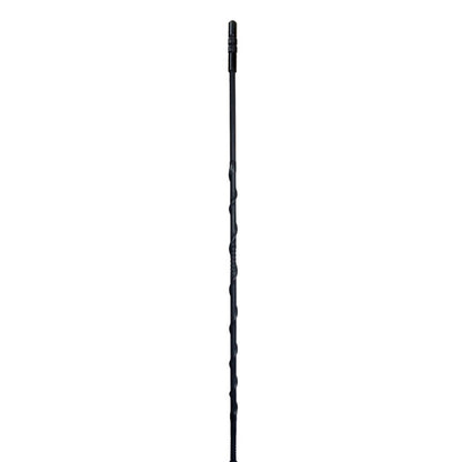 Kit Statie radio CB PNI ESCORT HP 8000L ASQ + Antena CB PNI Extra 45 cu magnet