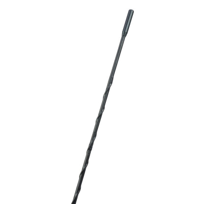 Kit Statie radio CB portabila PNI Escort HP 92 multi standard 4W, 12-24V AM-FM cu antena CB PNI Extra 48 cu magnet