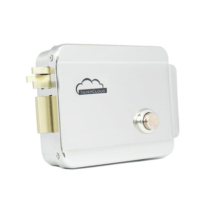 Yala electromagnetica SilverCloud YR300 cu butuc, cu deschidere pe partea dreapta, Fail Secure NO